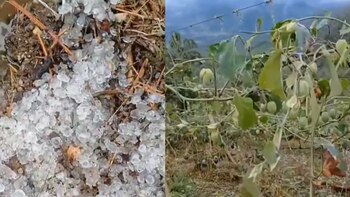 El tamaño del granizo en