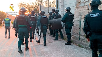 Desmantelan una doble plantación de marihuana en Oliva y detienen a cuatro hombres