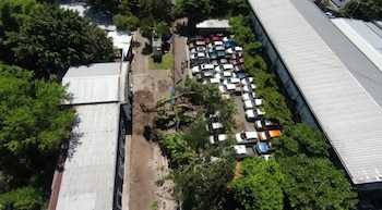 El desplome de dos árboles ocurrió el 25 de agosto de 2026 durante obras de excavación en el perímetro de la Asamblea Legislativa. (Cortesía: Redes sociales)