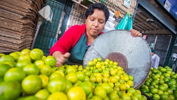 Fenómeno El Niño dispararía el precio del limón hasta S/ 20 el kilo en el verano de 2027