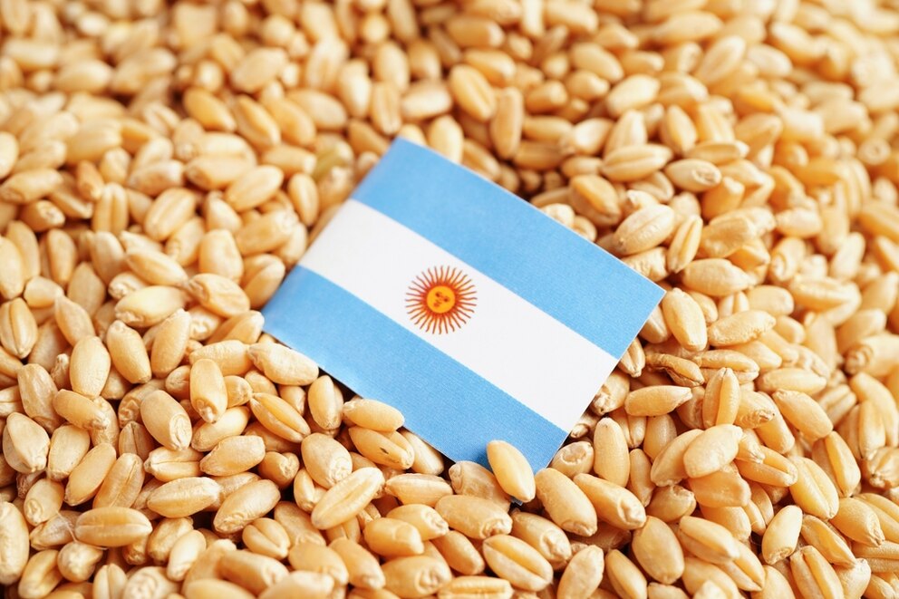 Argentina en ruta de crecimiento: exportaciones y superávit en ascenso