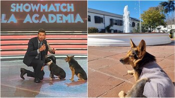 Tony es un poco celoso