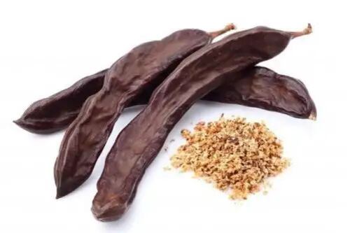 La medida busca promover conservación, educación ambiental, sensibilización y valorización productiva del algarrobo.