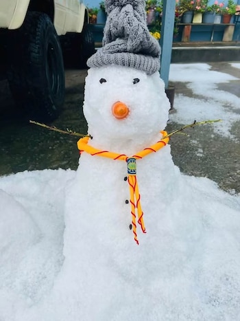 Un terreno cubierto de nieve con hierba, una valla metálica con cancha de baloncesto y edificios al fondo bajo la niebla