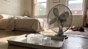 Habitación con una cama, ventanas, un ventilador plateado, una bandeja metálica con cubos de hielo y un gato durmiendo en el suelo.