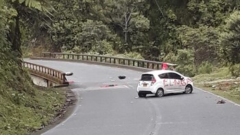 (Twitter: @dianamolinap)