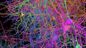 La reconstrucción en 3D del