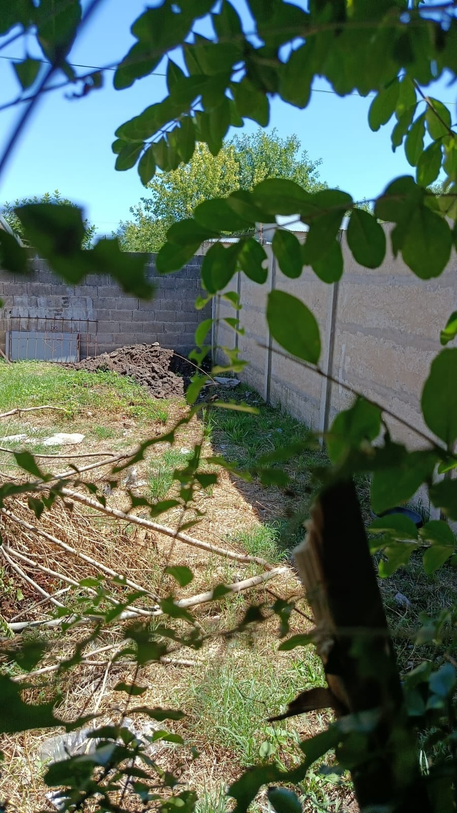 La foto con la tierra removida