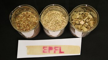 Papel de recibo más seguro fabricado a partir de madera