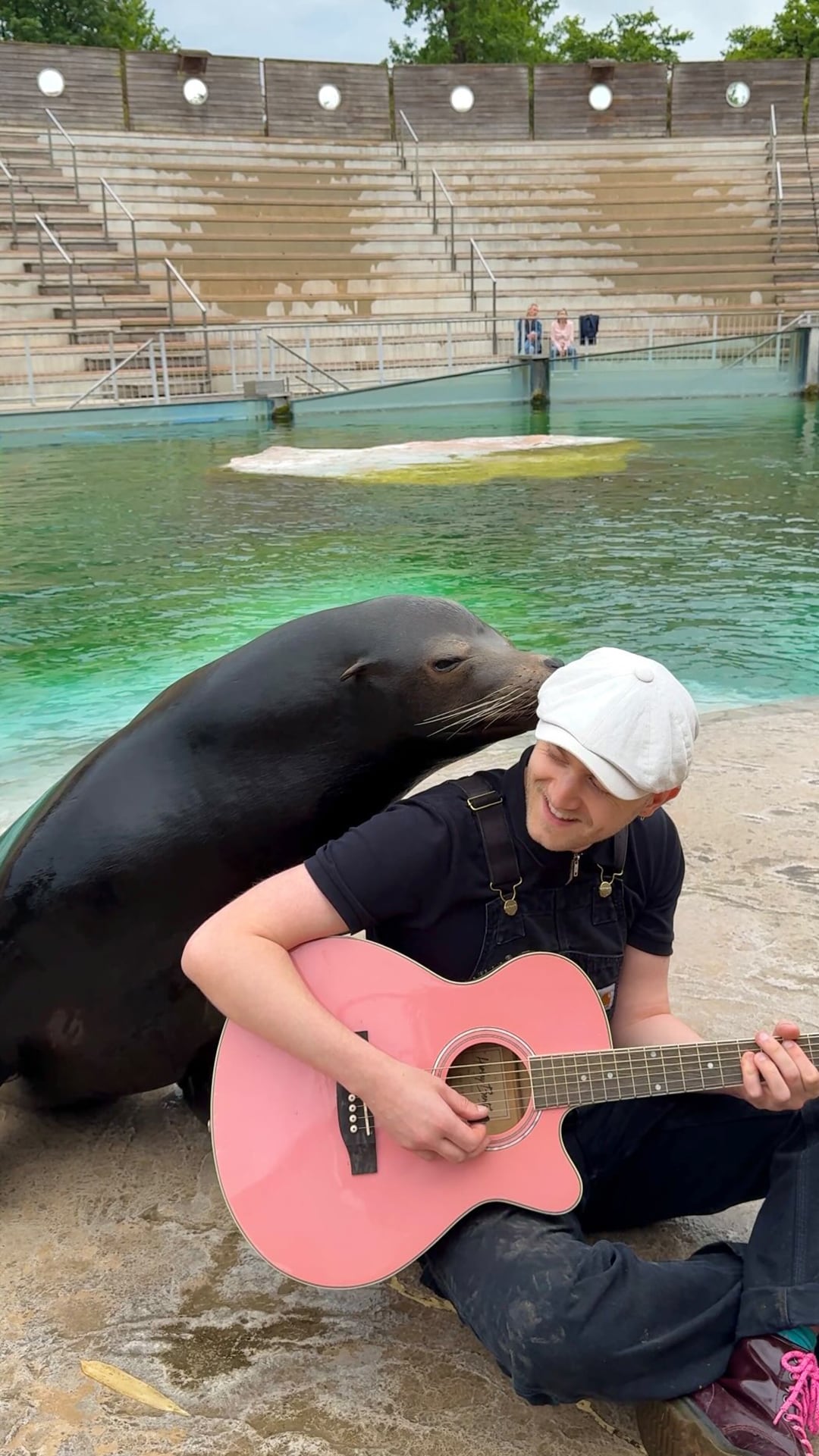 La música funciona como un puente: animales de distintas especies se acercan al músico sin mostrar temor