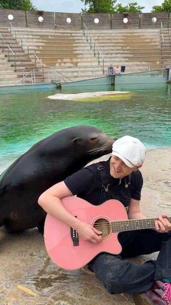 La música funciona como un