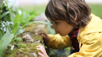 Cómo el tiempo en la
