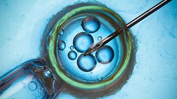 Se encontraron 550 hospitalizaciones por