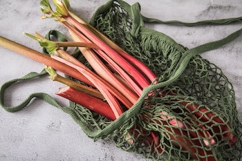 ILUSTRACIÓN - La frescura del