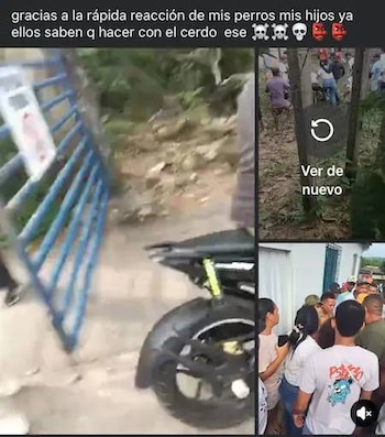 Este habría sido el supuesto