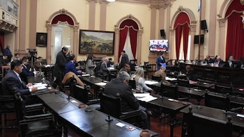 La Cámara de Diputados de Salta dio media sanción a la reforma electoral provincial
