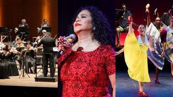 Conoce los espectáculos que se