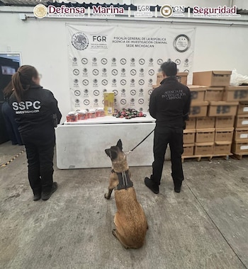 todo ocurrió en una empresa de paquetería de Morelia. Crédito: Gabinete de Seguridad