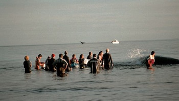 La celebración se da desde