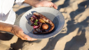 Sabores de verano: una guía
