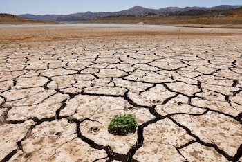 La capacidad del agua bajó en comparación con la última semana (Reuters)