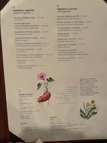 Carta de restaurante con listas de platos de vegetales, bebidas y sus precios, junto a ilustraciones botánicas de plantas