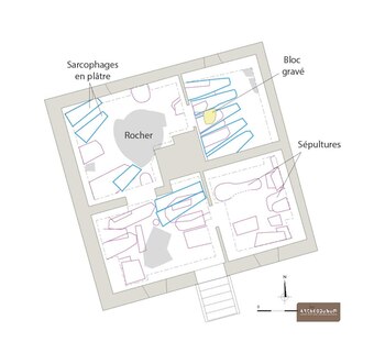 Restos humanos y artefactos hallados