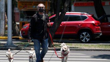 Cinco artículos indispensables para la