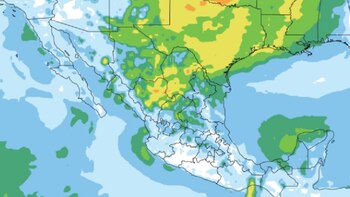 Llega a México el primer
