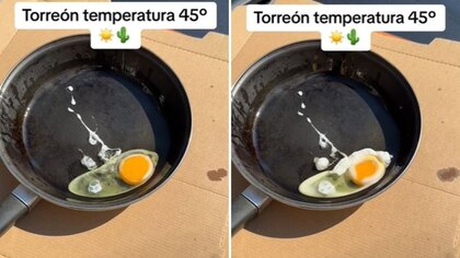 Joven cocina un huevo estrellado bajo el Sol; temperatura estaba a 45 grados en Torreón, Coahuila | VIDEO