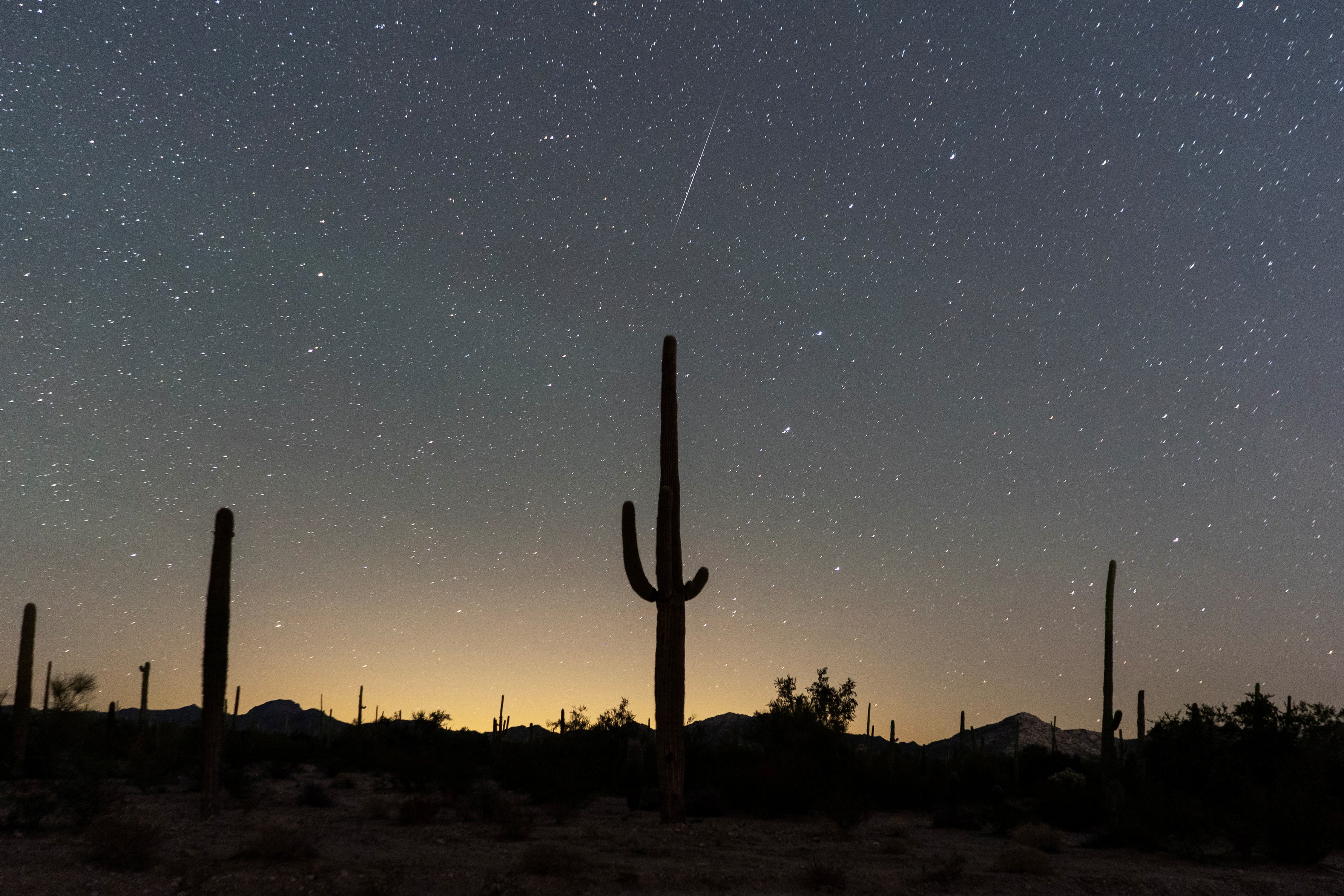 La lluvia de meteoros Gemínidas tendrá su mayor intensidad durante la noche del 13 al 14 de diciembre (REUTERS/Go Nakamura)