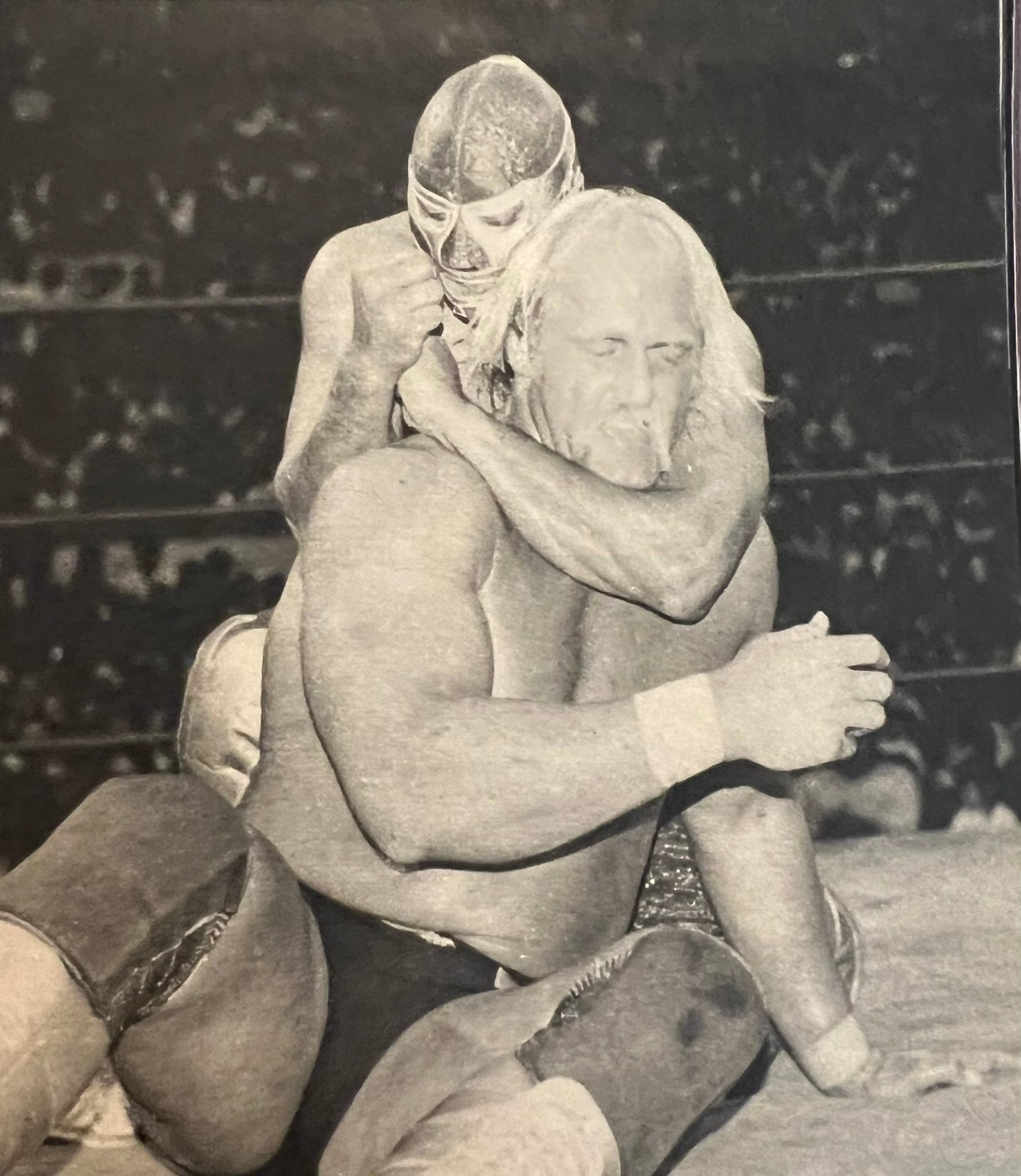 La comunidad luchística revive los combates de Hogan en México tras confirmarse su fallecimiento este 24 de julio de 2025. (Especial)