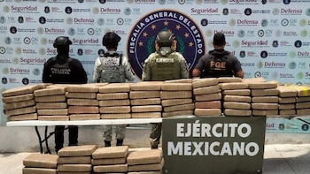 Aseguran más de media tonelada de aparente marihuana en operativo en la zona rural de Acapulco