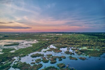 La recuperación ambiental del Lago