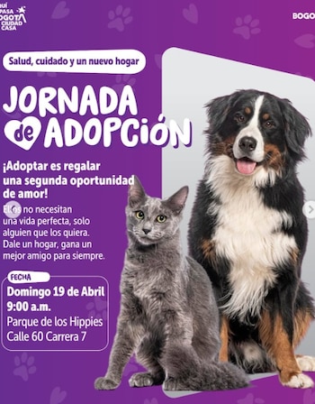 Las jornadas gratuitas que transforman la vida animal en Chapinero - crédito @alcaldiachapinero/IG