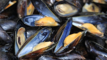 Un cocinero nos enseña a