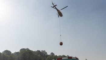 El fuego quema 50.384 hectáreas en España hasta el 1 de julio, el 39,8% del total de las quemadas en la UE