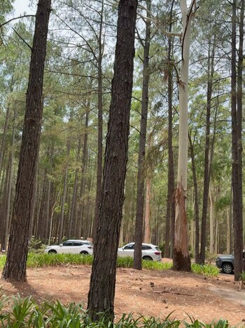 Con este viaje, la pareja
