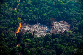 Cambio Climático