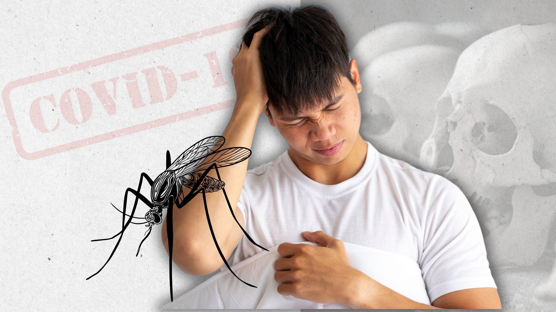 La fiebre amarilla, transmitida por mosquitos, se expande a nuevas regiones por el cambio climático - crédito Montaje Johan Largo/Infobae