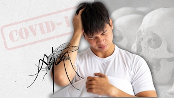 La fiebre amarilla, transmitida por