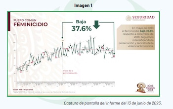 Informe de seguridad Colegio de México
