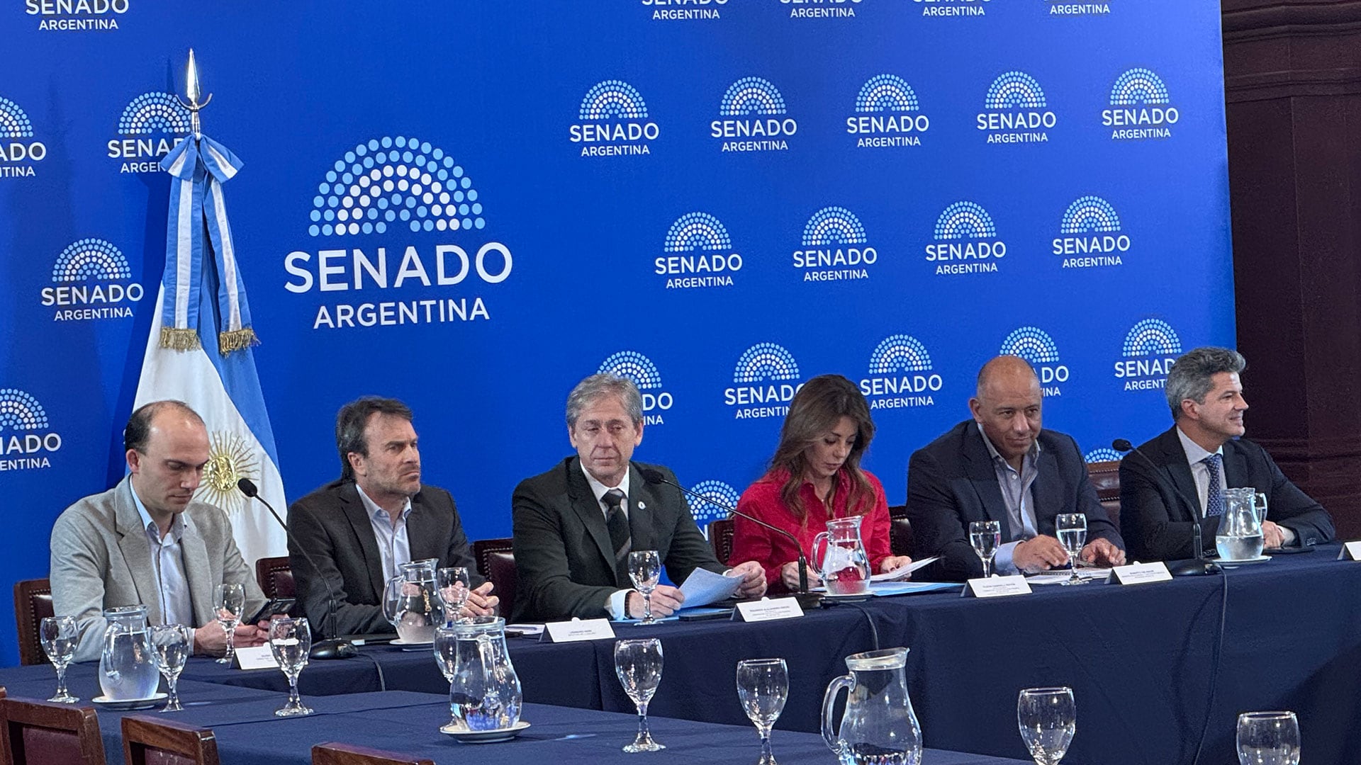 Los senadores Eduardo Vischi y Flavia Royón junto a los cuatro expositores que disertaron esta tarde en la comisión de Coparticipación Federal de la Cámara alta