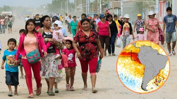 De acuerdo a la organización