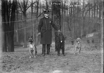 Fotografía en blanco y negro de un oficial de policía con uniforme de principios del siglo XX, de pie entre tres perros grandes con correas, en un entorno arbolado