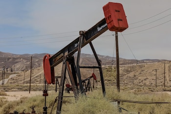 “La baja del precio internacional