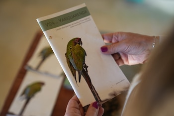 La comunidad guaraní de Yariguarenda vive del ecoturismo en su propio territorio conservado. El cuidado de la biodiversidad nativa es clave. Miel y cultivos orgánicos, el oro del lugar