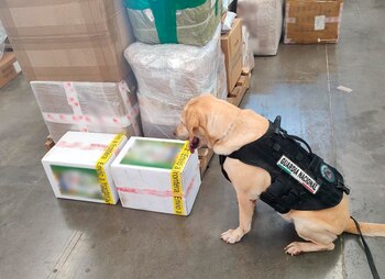 El material estaba en dos