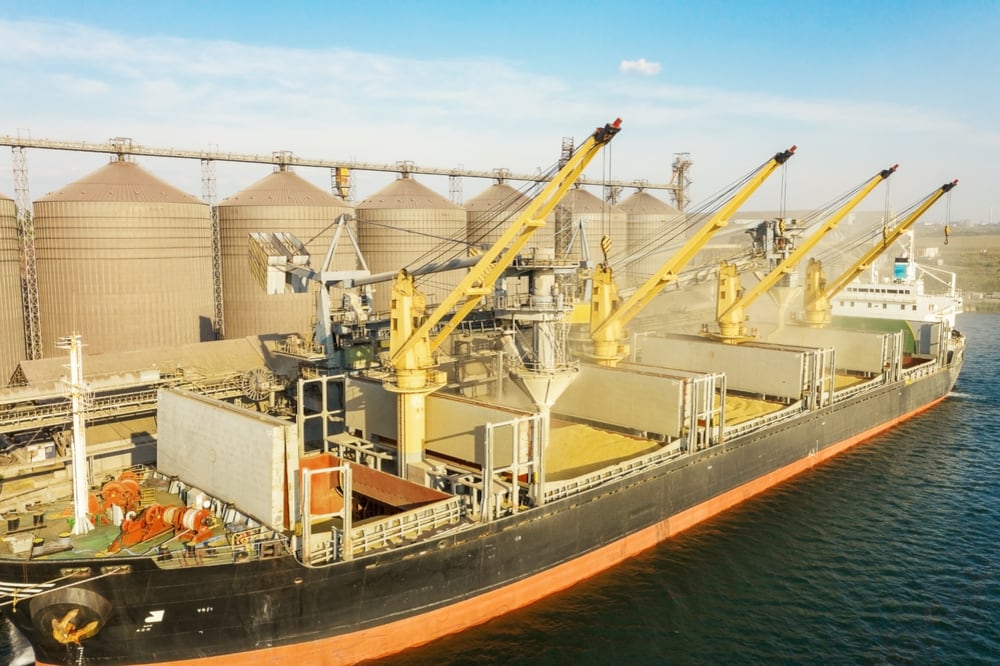 Los productos primarios concentraron el mayor volumen, con 48,6 millones de toneladas entre enero y julio, y sumaron 8,2 millones de toneladas respecto del mismo período de 2025, lo que representó un crecimiento interanual del 20% (Foto: Shutterstock)