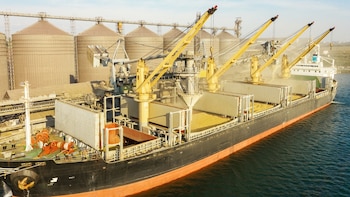Más volumen exportado impulsó la actividad logística en los primeros siete meses